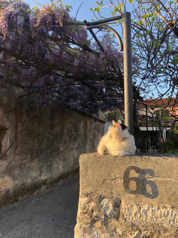 App Milija Apartment Rovinj Luaran gambar